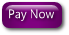 Pay Now